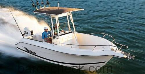 Wellcraft Fisherman 210 ficha tecnica